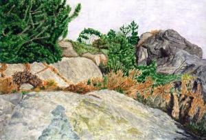 Rocks (1)