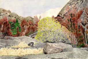 Rocks (2)