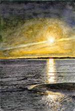 Sunset (1)