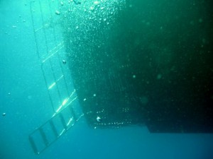This is how the speed boat looked from below.